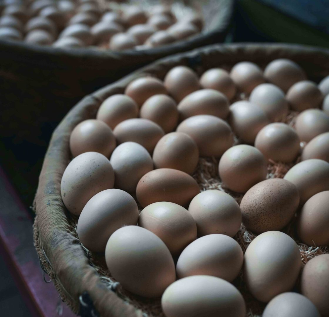 Distribución de huevos frescos - servicio de entrega Martínez y López