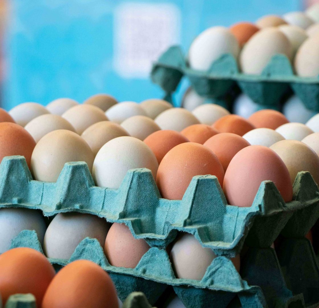 Productos frescos y huevos naturales seleccionados para distribución